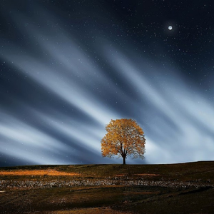 91综合精品久久久久久久五月天
