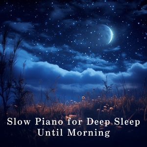 91综合精品久久久久久久五月天
